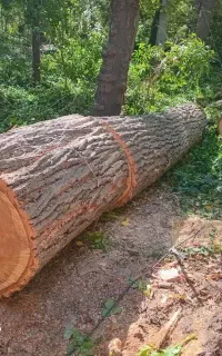 خرید چوب