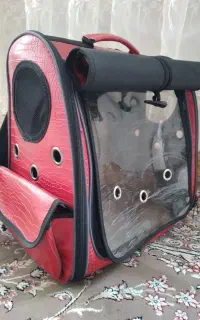 کوله پشتی حمل حیوان خانگی