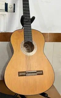 گیتار mate poor