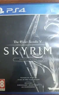 دیسک کمیاب بازی skyrim