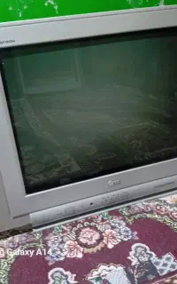 تلویزیون