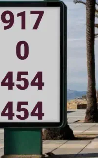 0917-0-454-454