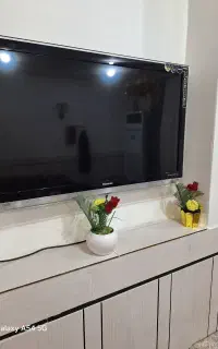 تلویزیون هایسنس