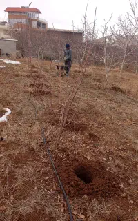 کار باتیلر به تمام نقاط هزینه رفت برگشت رایگان