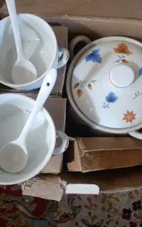 سوپ خوری چینی
