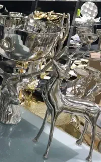 ظرف