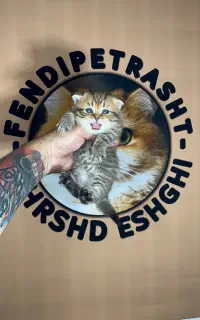 اسکاتیش گلد کد ۲۵