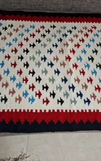 ورنی گلیم نو پشم