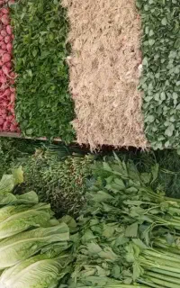 نیازمند سبزی فروش اجاره سبزی در میوه فروشی تره بار