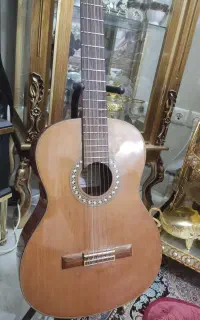 گیتار هافنر آلمانی