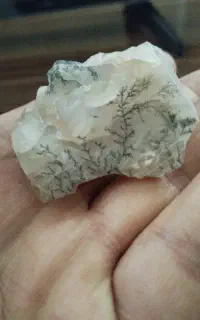 سنگ راف عقیق وشجر ونگین انگشتری دوتا سنگ کلکسیونی