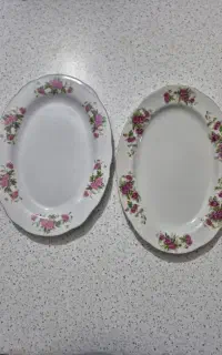 چند عدد دیس پلوخوری و مرغ خوری