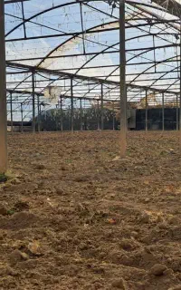 استخدام رشته علوم باغبانی یاگلخانه دار