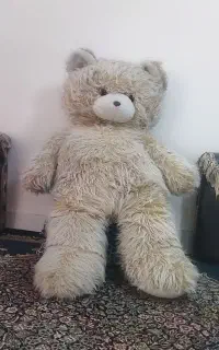 خرس پشمالو