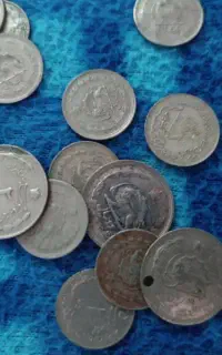 شاه سکه