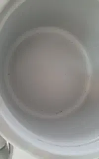 پلوپز پارس خزر