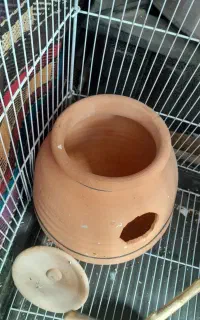 کوزه پرنده بزرگ و جا دار