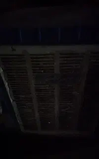 کولر