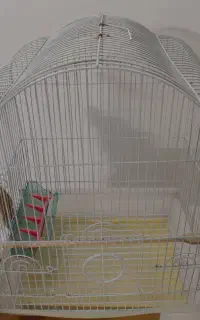 قفس پرنده