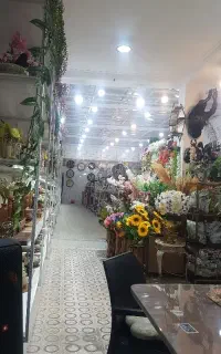 نیازمند نیروی ساده فروشگاه  توضیحات پیشنهادی