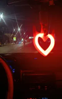 قلب شاخ دار(سوریکاوا)