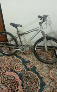 دوچرخه کوهستان ویوا