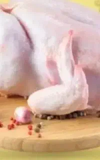 مرغ پرکن وماهی زنده باقیمت مناسب
