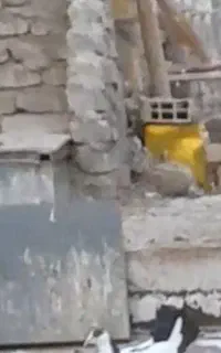 کبوتر ‌گمشده