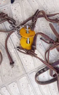 دهنه
