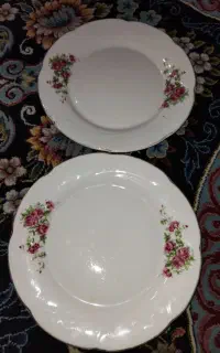 پیشدستی گلسرخی 2عدد