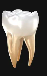 دندانپزشکی دم قسط