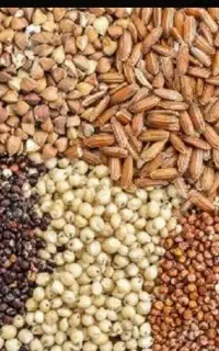 فروش انواع نهاده های دامی