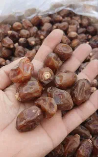 خرما خاصویی