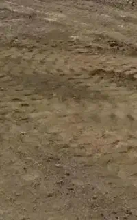 زمین مسکونی ۲۰۰ متر