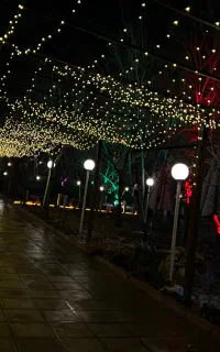 پرسنل رستوران