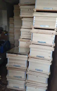 جعبه کندو زنبور عسل