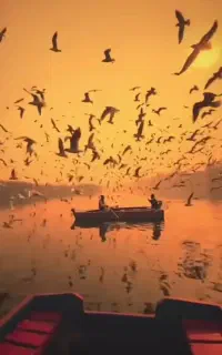 فروش قول صیادی(مجوز صیادی) موتور۷۵