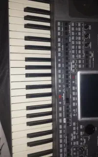 ارگ pa900