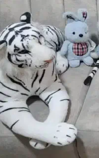 فروش مقداری اسباب بازی در کنگان