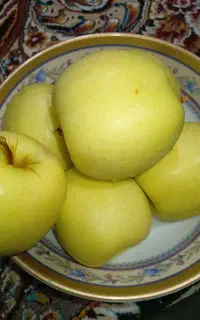 فروش سیب درختی