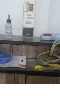 قلاده و