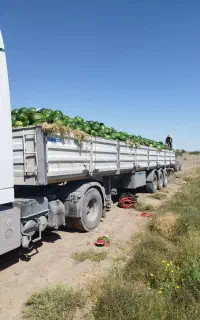 نیازمند راننده تک باری