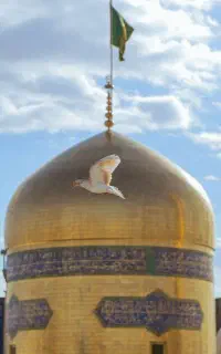 تور مشهد / پیش فروش مهرماه / بلیط قطار