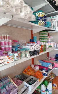 شوینده بهداشتی تک وعمده شهر مهران