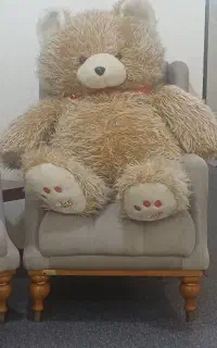 عروسک خرسی بزرگ