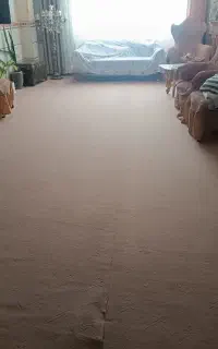 موکت سالم
