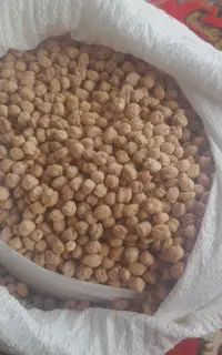 نخود درشت پزا