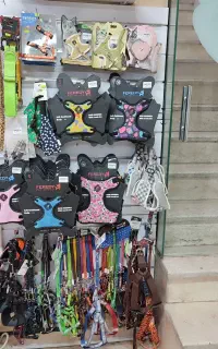 فروش انواع قلاده هایه سگ و گربه کتفی کمری گردنی