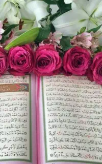 دعانویس و درمانگر قرآنی میخوام
