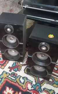 دی وی دی فلش خور سناتور